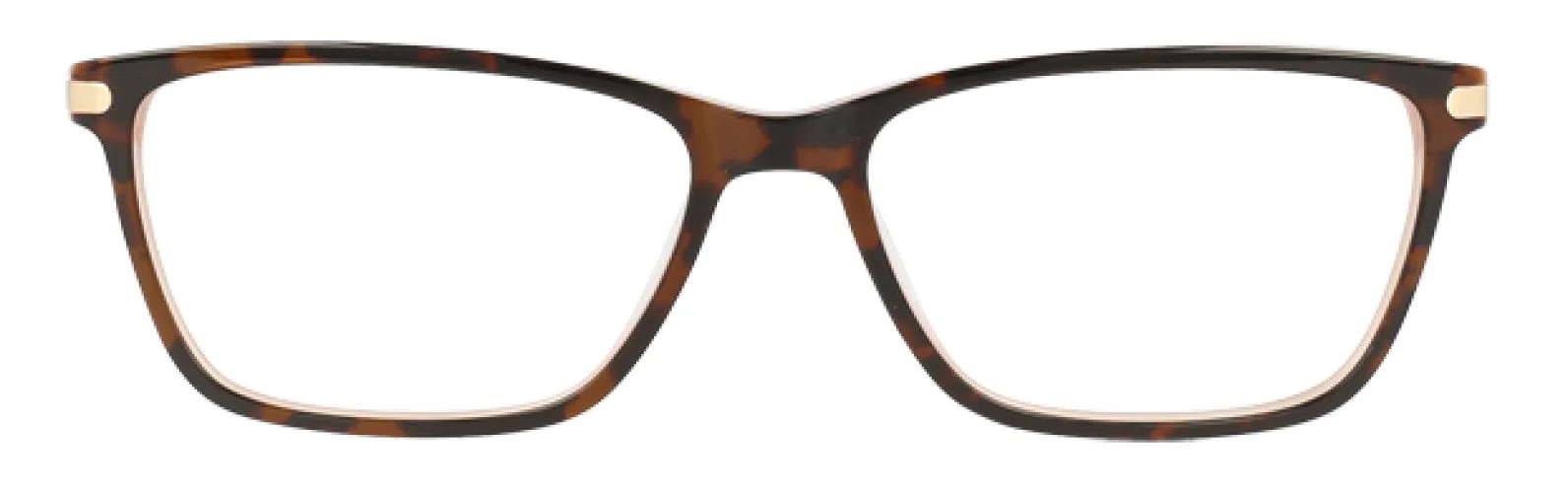 Via Spiga VSSimonetta Eyeglasses - Champagne - view 11